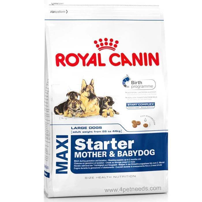 Royal Canin Maxi Stater