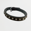 Dog Collar
