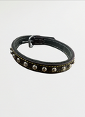 Dog Collar