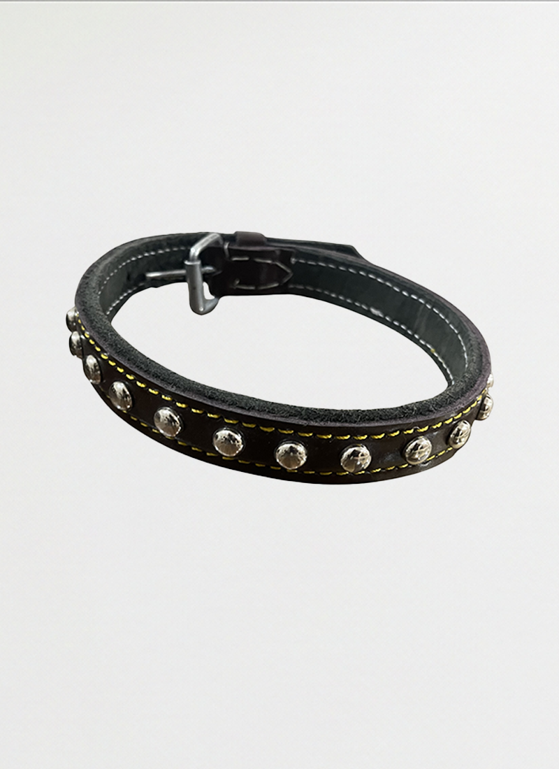 Dog Collar