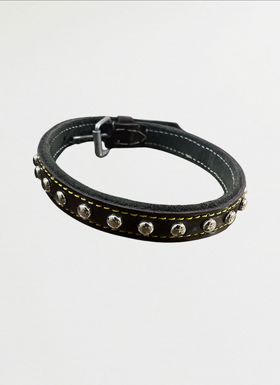 Dog Collar