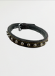 Dog Collar