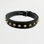 Dog Collar