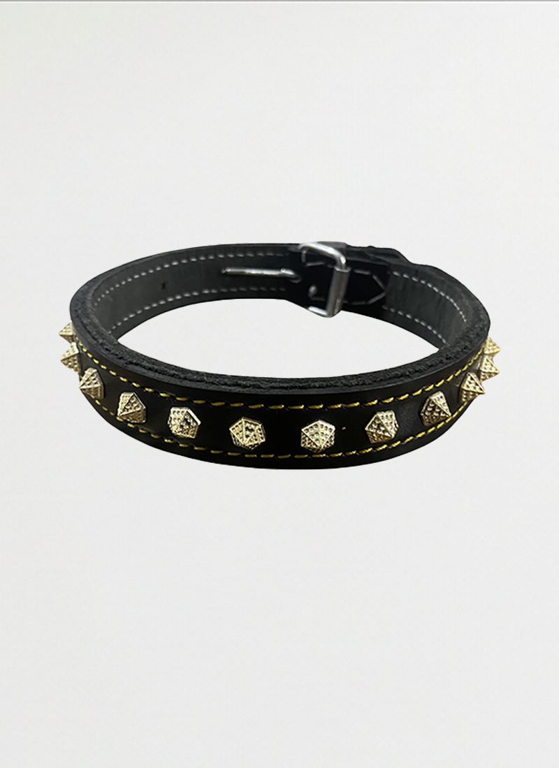 Dog Collar