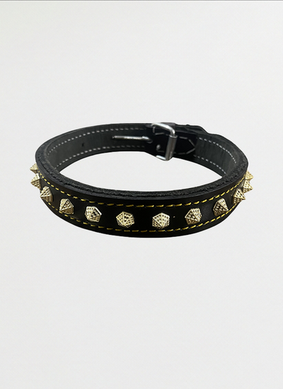 Dog Collar