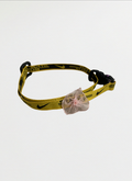 Cat Collar