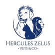 Hercules Zelus