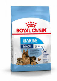 Royal Canin Maxi Stater