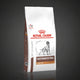 Royal Canin Gastro Adult Dog